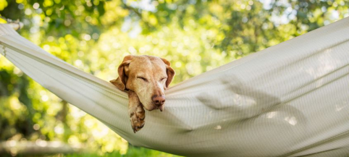 Comment être plus créatif ? Procrastinez !